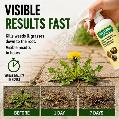 💥 SAVE 50% -Fast-Acting Natural Weed & Grass Killer Spray